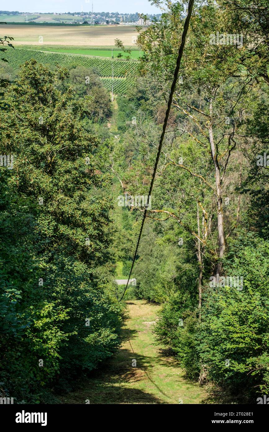 Stromnetz durch einen Wald | Reseau electrique Traversant un bois Stockfoto