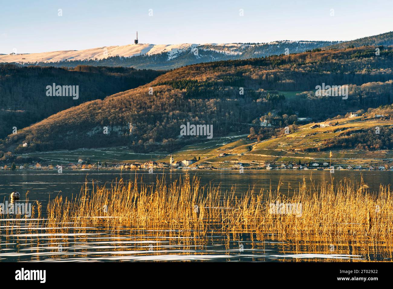 Blick über den Bielersee von Täuffelen-Gerolfingen nach Ligerz, Twann und dem noch schneebedeckten Chasseral im Hintergrund Stockfoto