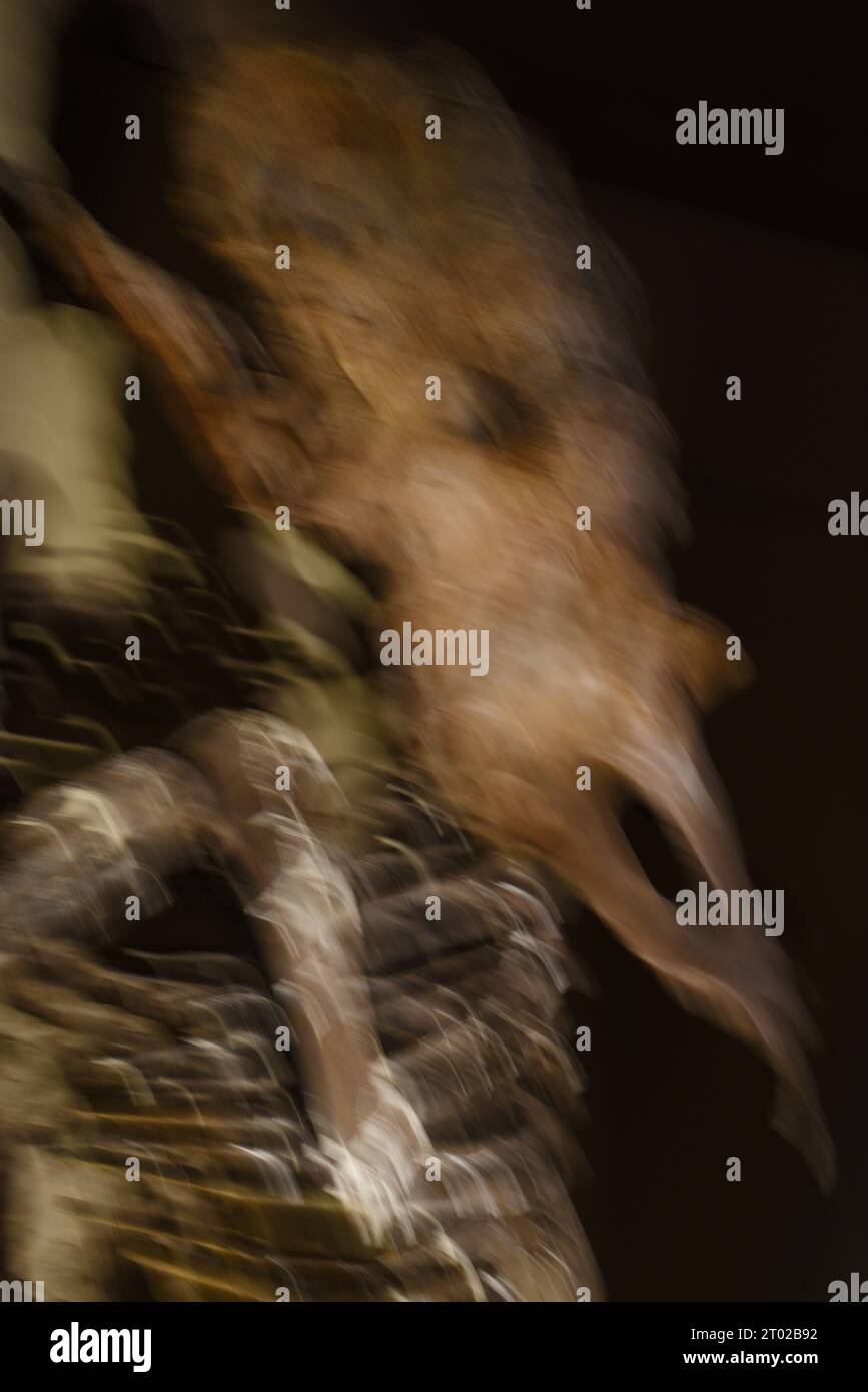 Ein mehrfach belichtetes verschwommenes Bild eines Dinosaurierskeletts Stockfoto