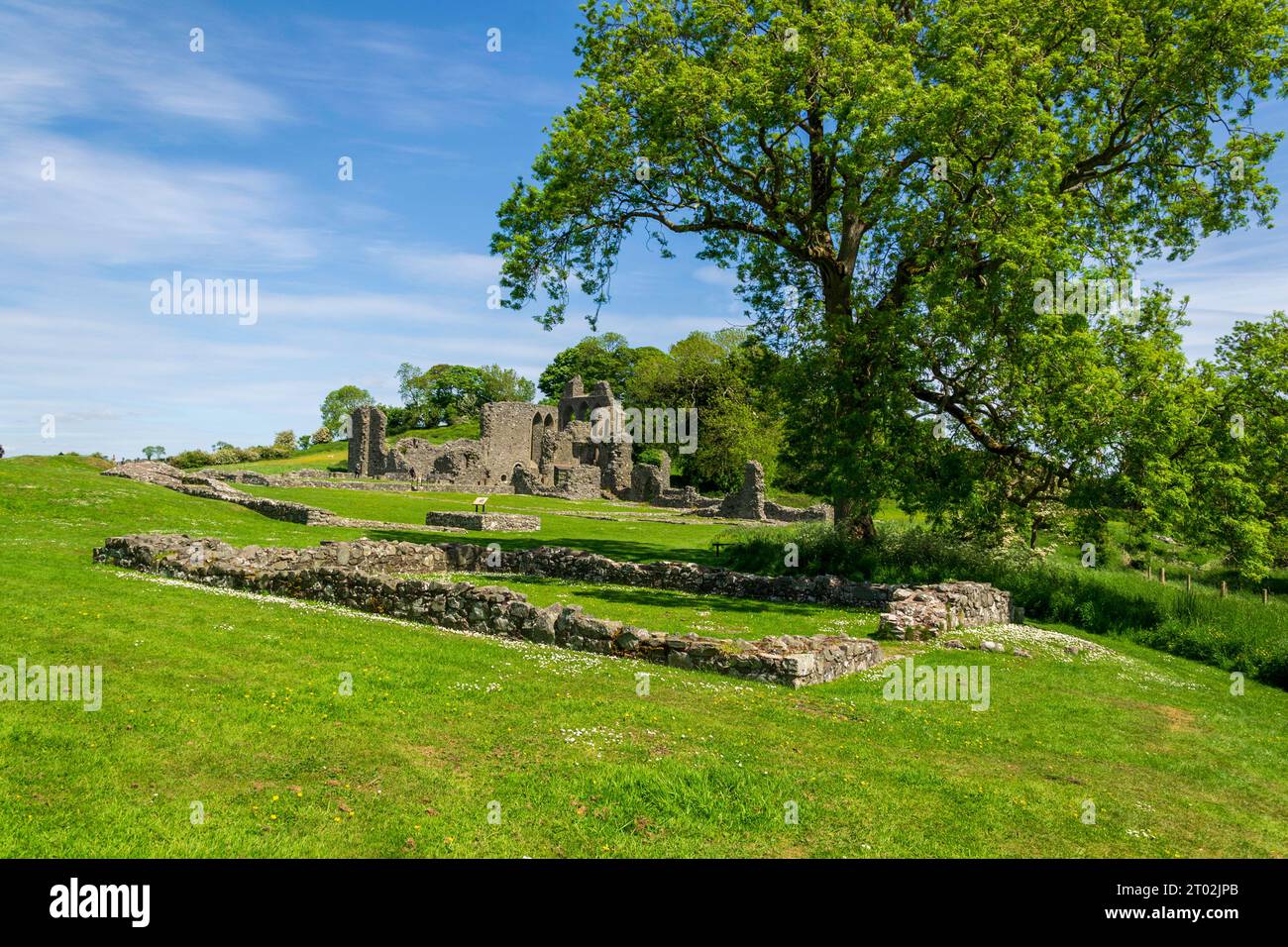 Downpatrick County Down Nordirland, 1. Januar 2010 - Landschaftsansicht der alten Ruinen von Inch Abbey in County Down Stockfoto