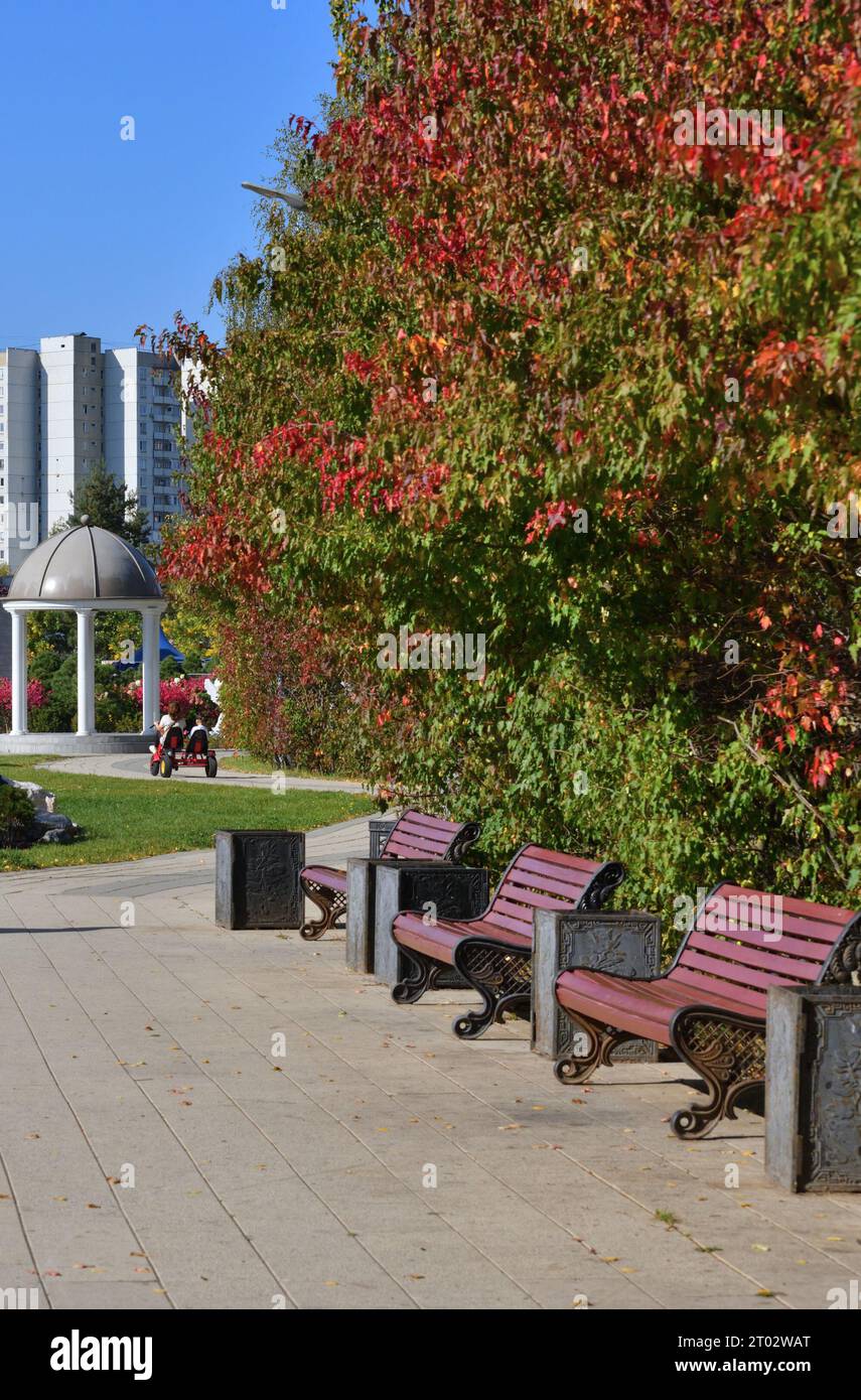Moskau, Russland - 23. September. 2023. Herbst auf dem Boulevard in Zelenograd Stockfoto