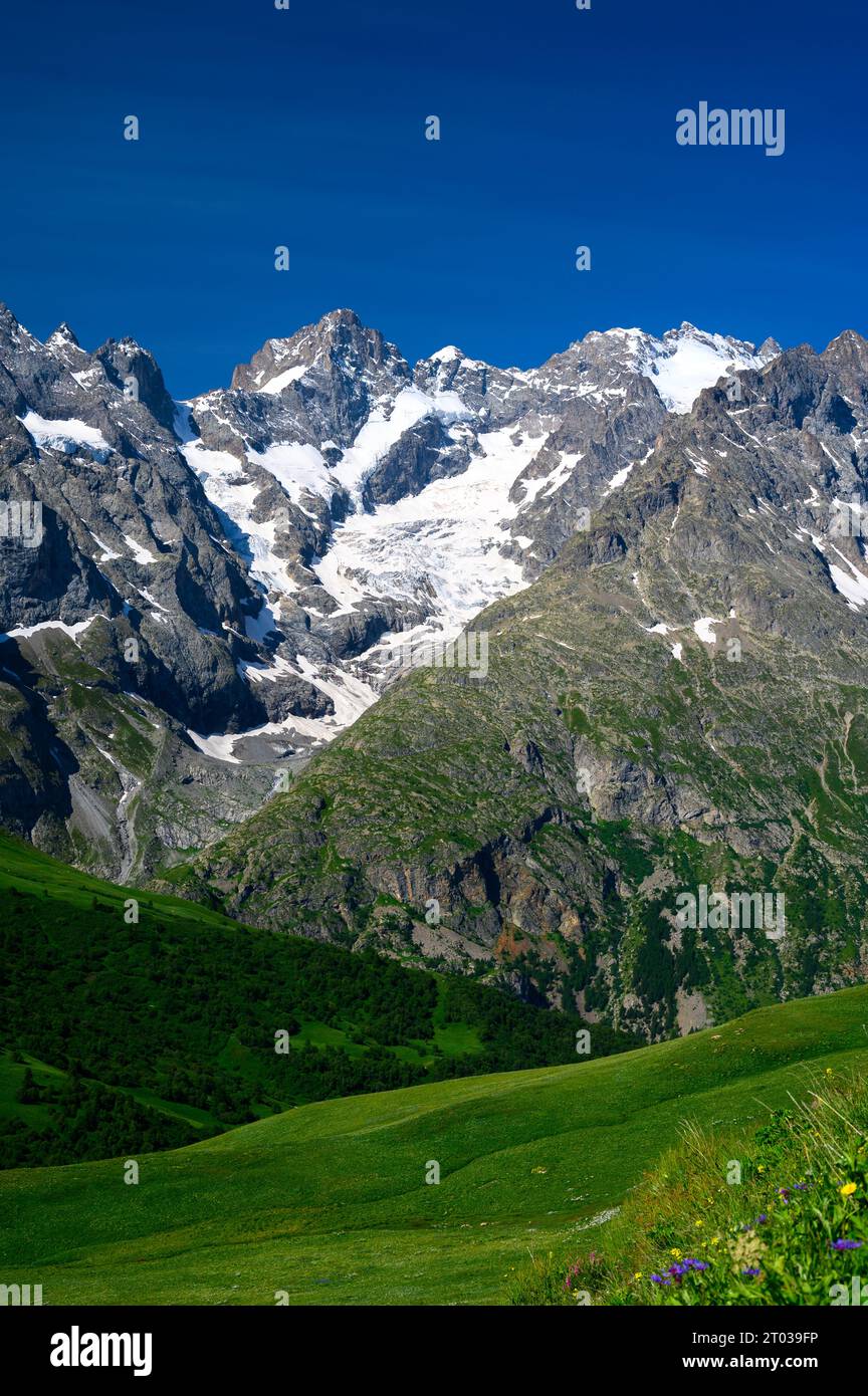 Berge und grüne Bergwiesen in der Nähe von Col du Lautaret, Massif des Ecrins, Hautes Alpes, Frankreich im Sommer Stockfoto