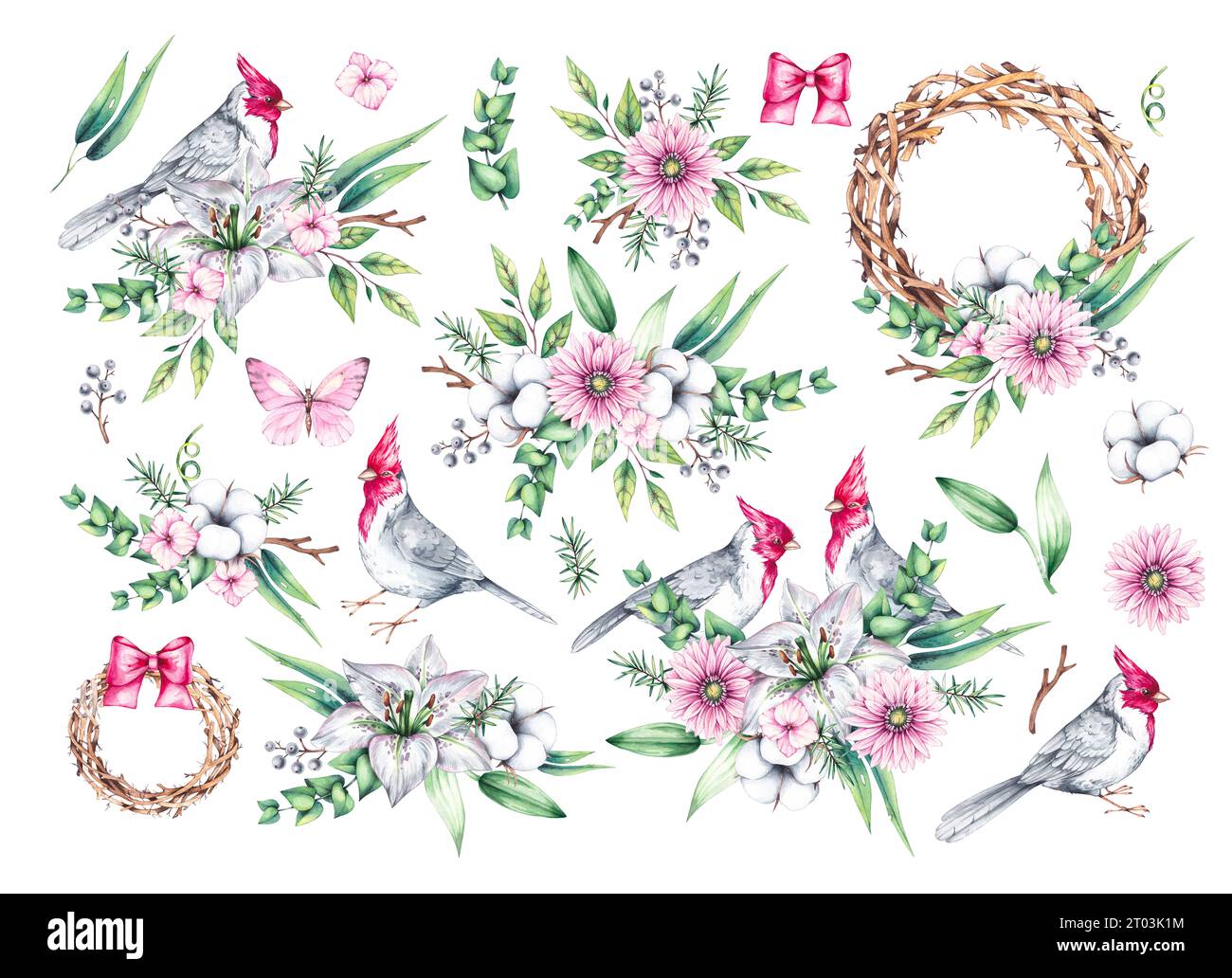 Aquarellset von Vögeln mit Blumen. Roter Kardinalvogel, Blumensträuße und Kränze auf weiß. Vögel und Blumen handgezeichnet isoliert. Zusammensetzungen mit Vögeln Stockfoto