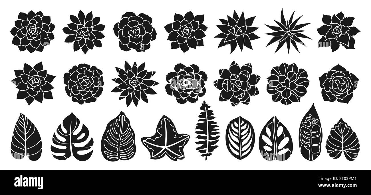 Sukkulente Zimmerpflanze Silhouette Stempelset. Einrichtung im urbanen tropischen Dschungel mit Heimpflanzen in Printform. Sukkulenten handgezeichnete Figur Wüstenblumen Sammlung. Blumengarten-Design für Einladungsplakat-Vektor Stock Vektor