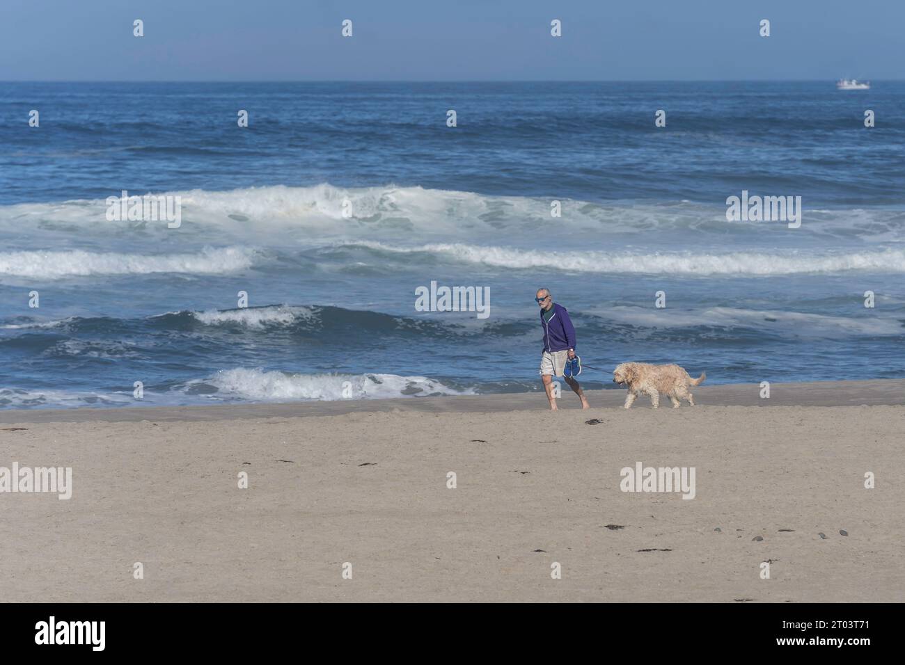Ein Mann und sein bester Freund spazieren am Strand Stockfoto