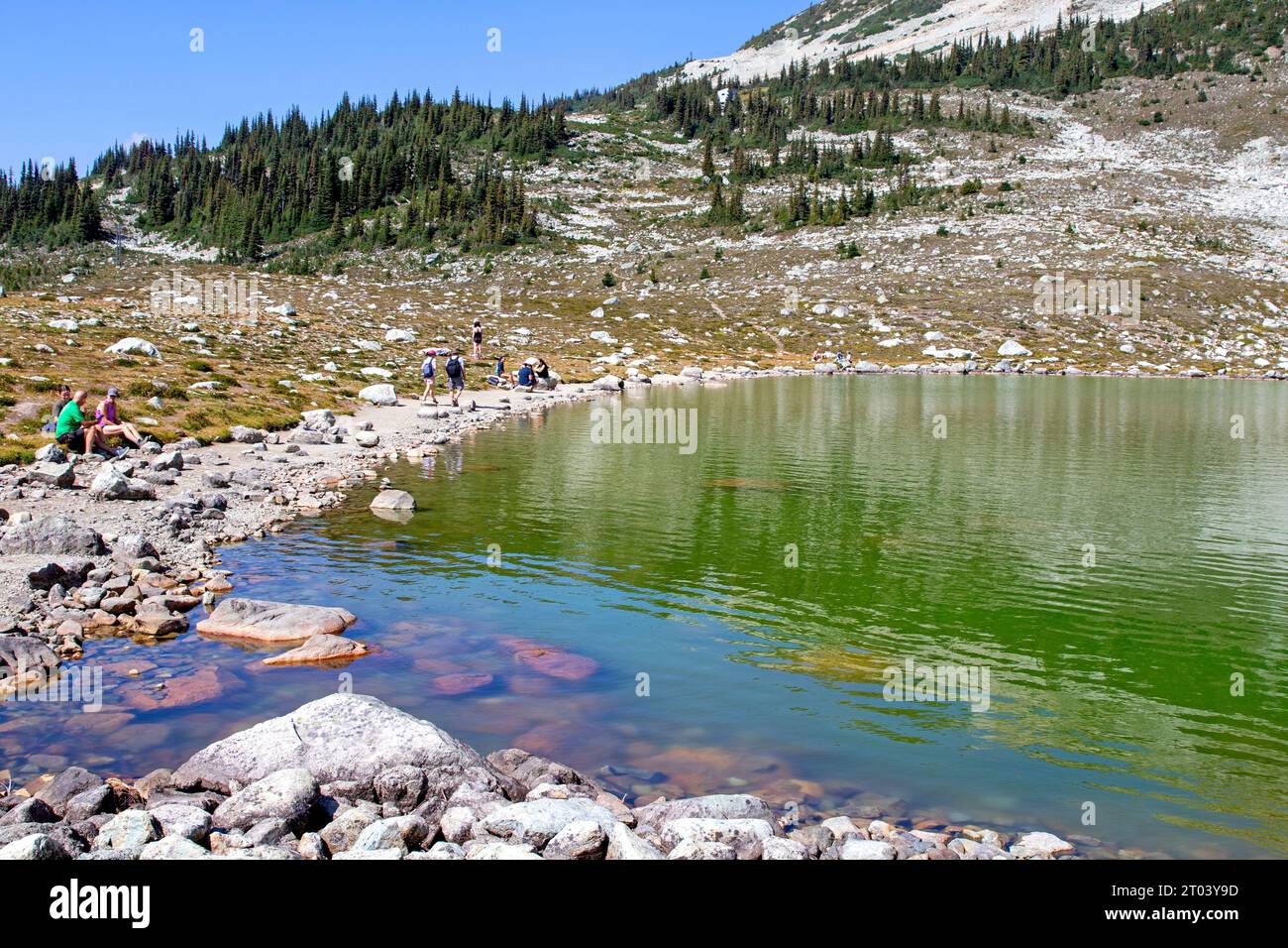 Blackcomb Lake Stockfoto