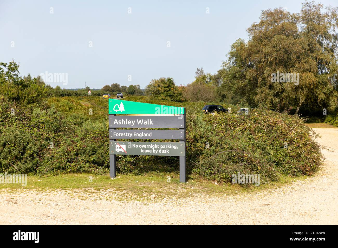 New Forest Hampshire Ashley Walk in der Nähe von Lyndhurst, mit einer Informationstafel, auf der angegeben ist, dass keine Übernachtung in einem Camping stattfindet, England, Großbritannien Stockfoto