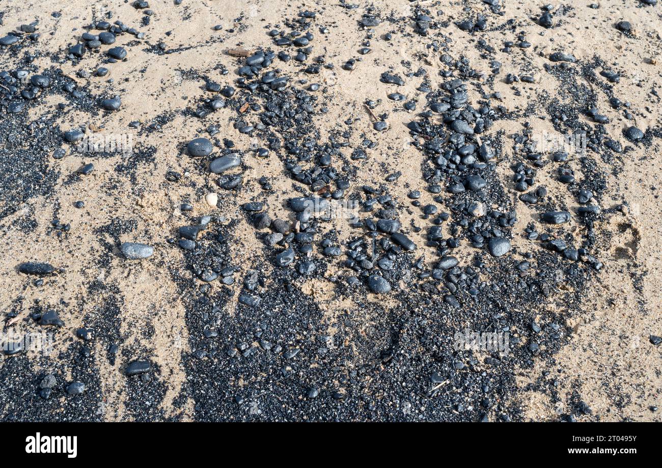 Steinkohle wurde am Strand von Roker, Sunderland, England, Großbritannien, gespült Stockfoto