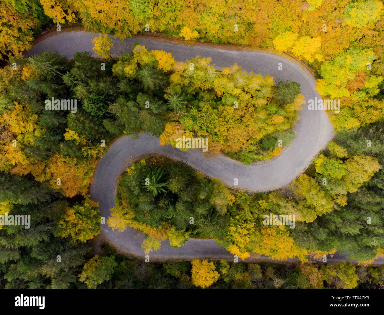 Kurven auf einer Bergstraße durch eine wunderschöne Herbstlandschaft Stockfoto
