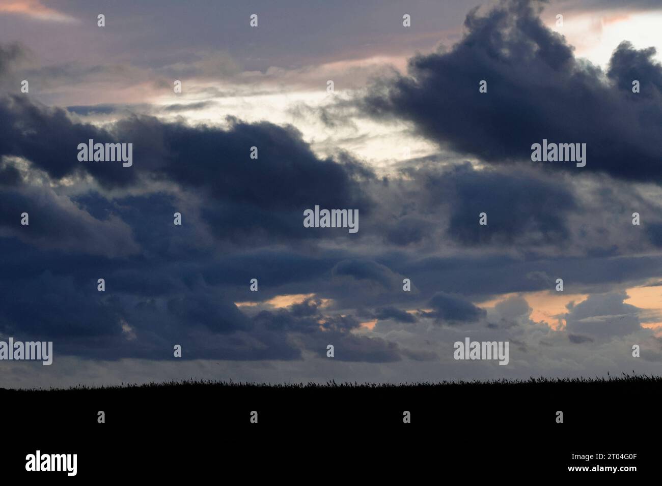 Wetter und Kranichzug 03.10.2023, Bodstedt, Wetter, Herbst, die Sonne hat sich vom darß verabschiedet. Graue Wolken zeichnen den Tag. Sturmböhen wehen über den Bodden, Noch hat der große Kranichzug nicht voll begonnen.Einzelne Ketten von ins Schlafquartier fliegenden Kranichen sind zu sehen. Der Klimawandel scheint das Zugverhalten der Kraniche nachhaltig zu beeinflussen. *** Wetter und Kranwanderung 03 10 2023, Bodstedt, Wetter, Herbst, die Sonne hat sich von Darß verabschiedet graue Wolken ziehen den Tag Sturmhöhen über den Bodden wehen, die große Kranwanderung hat noch nicht ganz begonnen Stockfoto