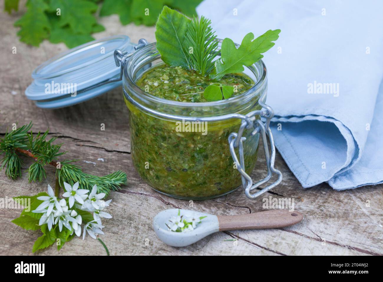 selbstgemachtes Waldpesto, aus Blättern, Nadeln und Waldfrüchten mit Olivenöl und Parmesan Stockfoto