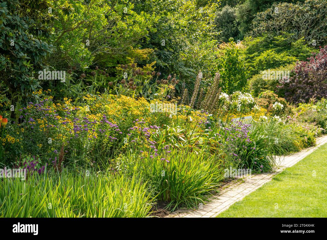 Krautige Grenze in Lost Gardens of Heligan, St Austell, Cornwall, England Stockfoto