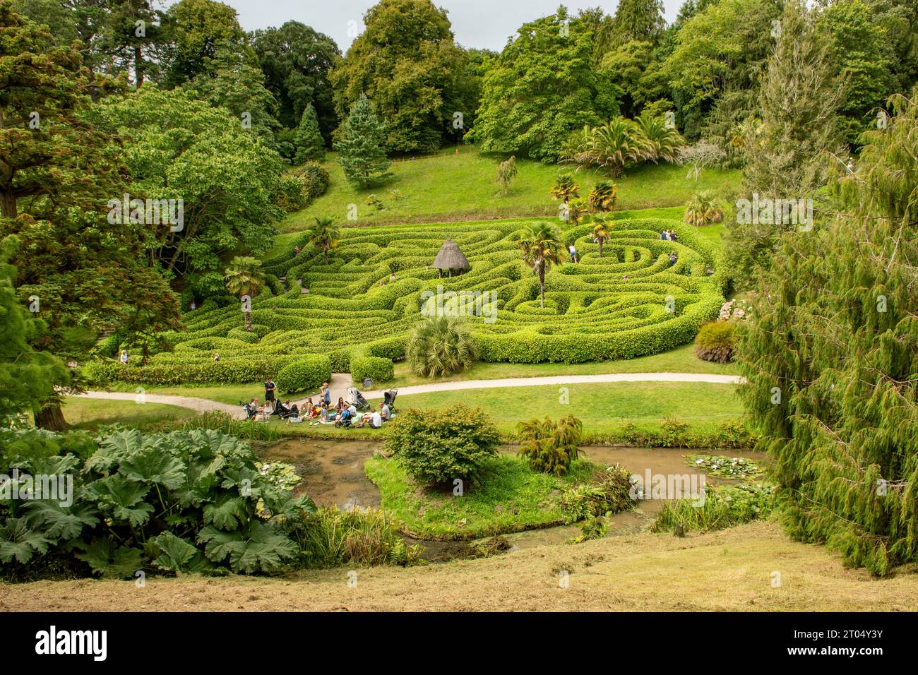Das Labyrinth in Glendurgan Gardens, North Helford, Cornwall, England Stockfoto