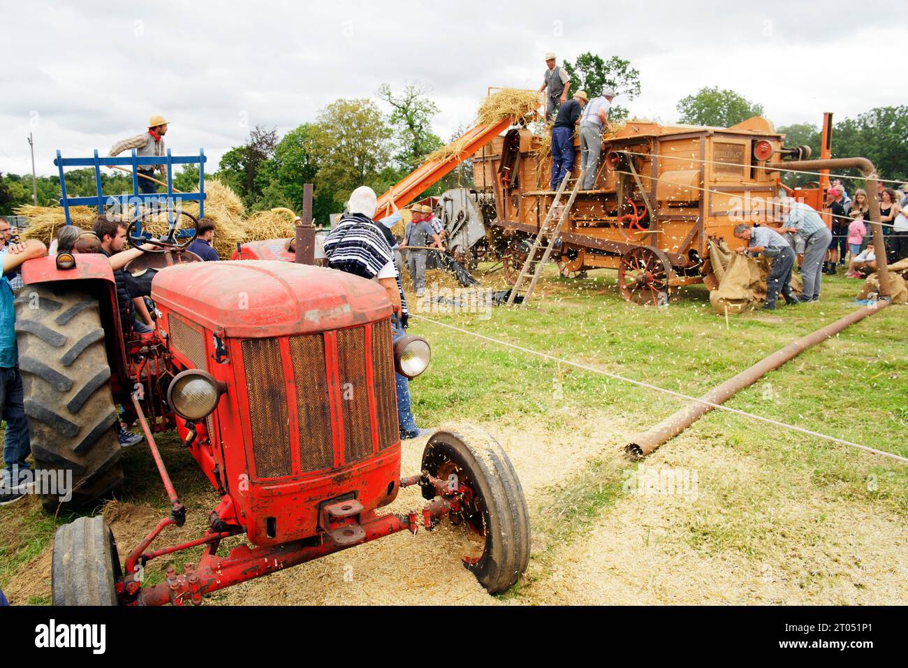Alte Erntemaschine, die auf altmodische Weise in Saint-Fraimbault (Orne, Normandie, Frankreich) erntet Stockfoto
