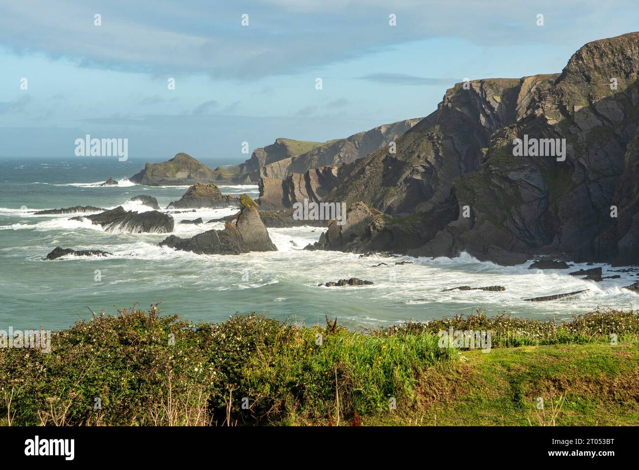 Die Küste am Hartland Quay, Devon, England Stockfoto