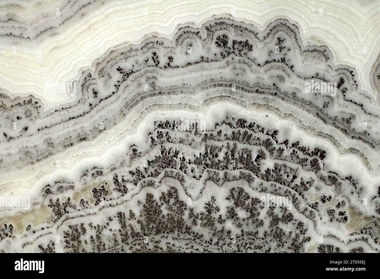 Graue und weiße Mineralienstruktur, abstrakte Linien, Flecken, Wellen und Risse natürliche Muster Stockfoto