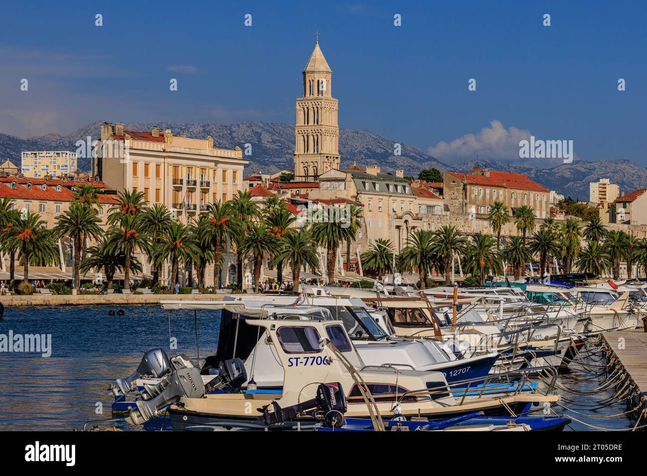 Landschaft des Hafens von Split mit einer Reihe kleiner Boote vor der baumgesäumten Promenade und historische Altstadt mit einem prominenten Glockenturm Stockfoto