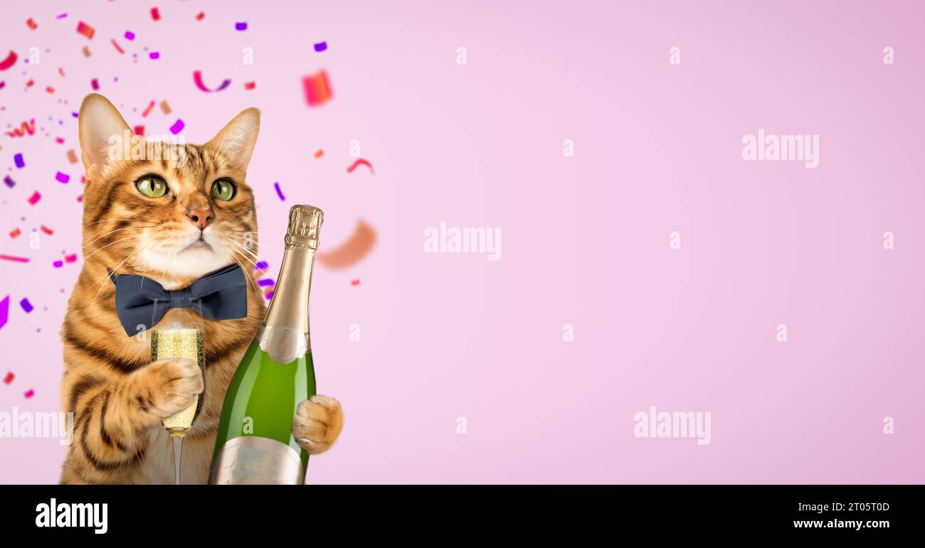 Eine glückliche Katze in einer Fliege hält ein Glas Champagner auf einem lila Hintergrund. Katze mit einer Flasche Champagner zum Geburtstag oder Neujahr. Stockfoto