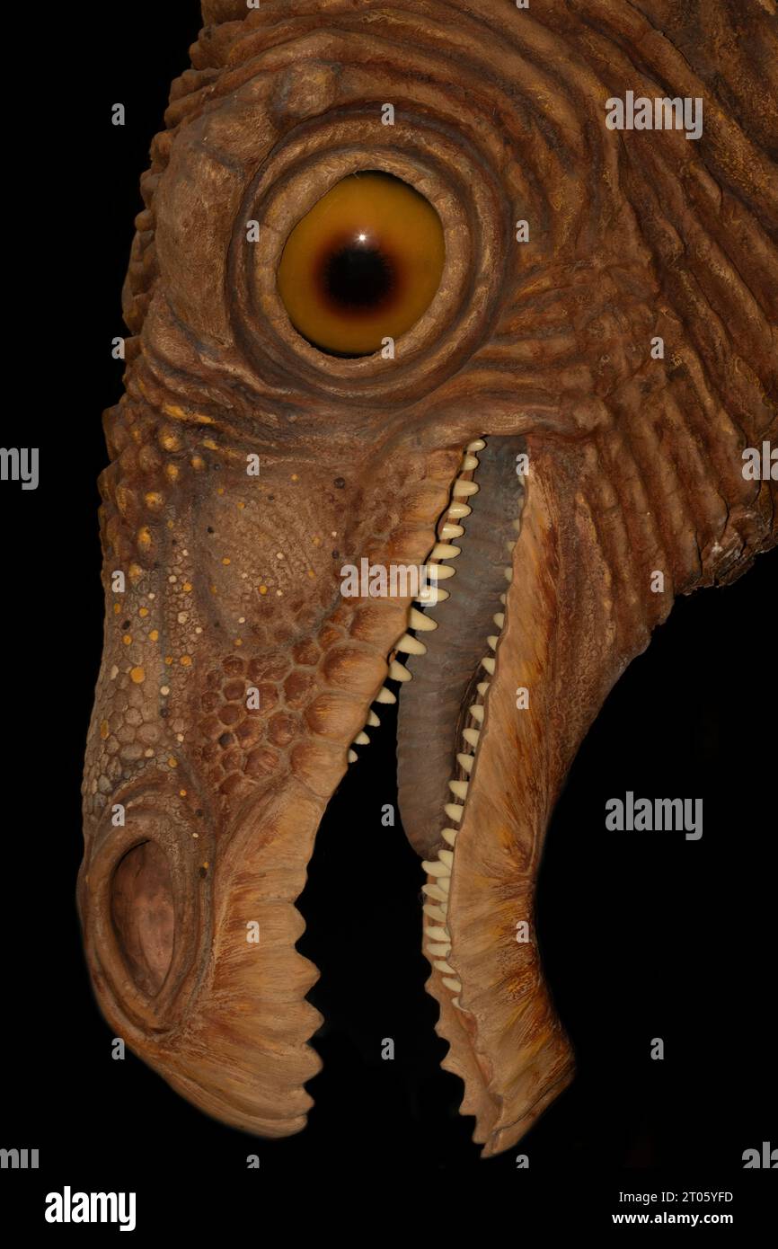 Therizinosaurus, ein großer flugunfähiger Vogel aus der späten Kreidezeit. Diese Skulptur von Stephen Czerkas. Stockfoto