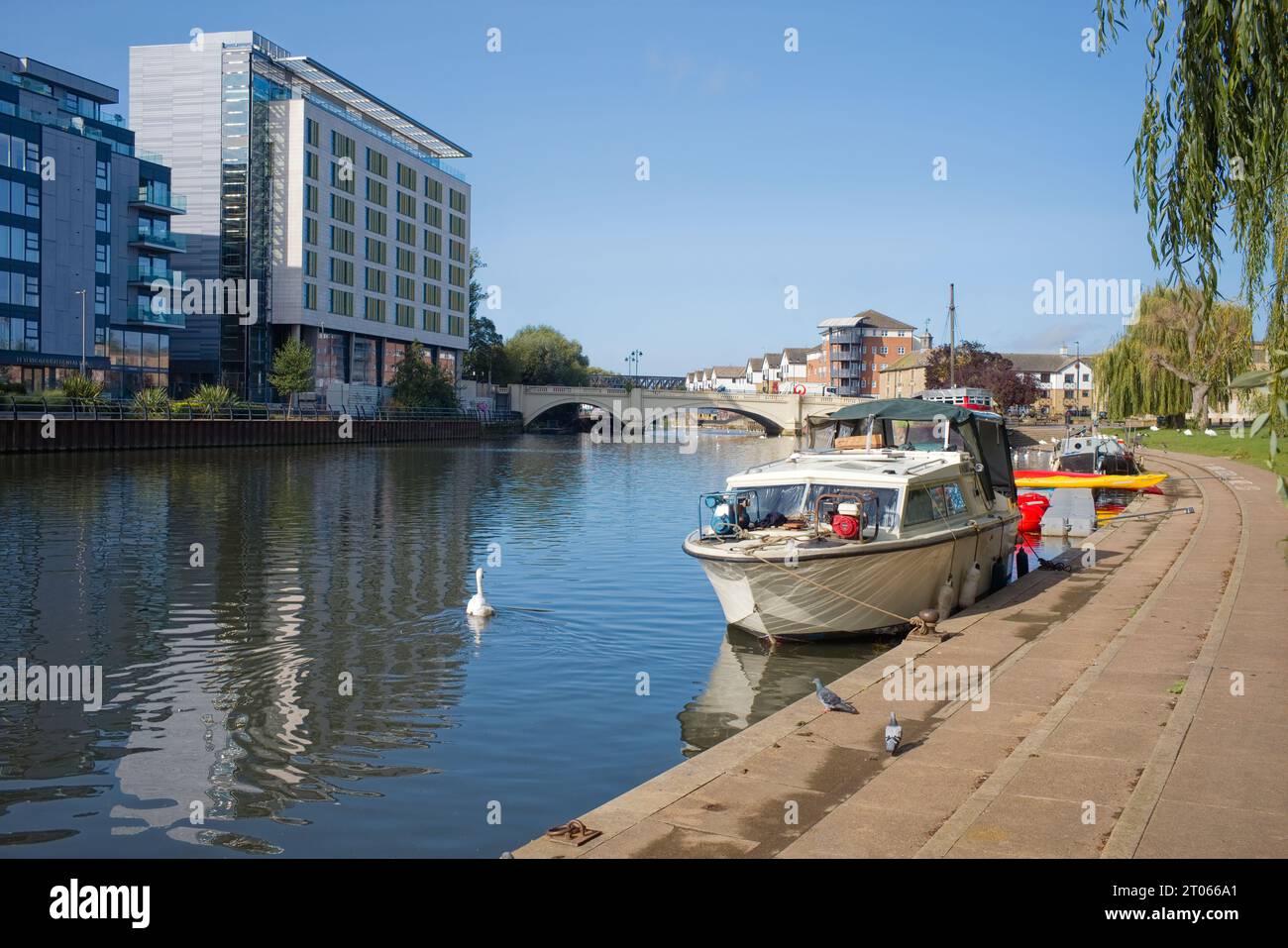 Der Fluss Nene verläuft durch das Zentrum von Peterborough Stockfoto