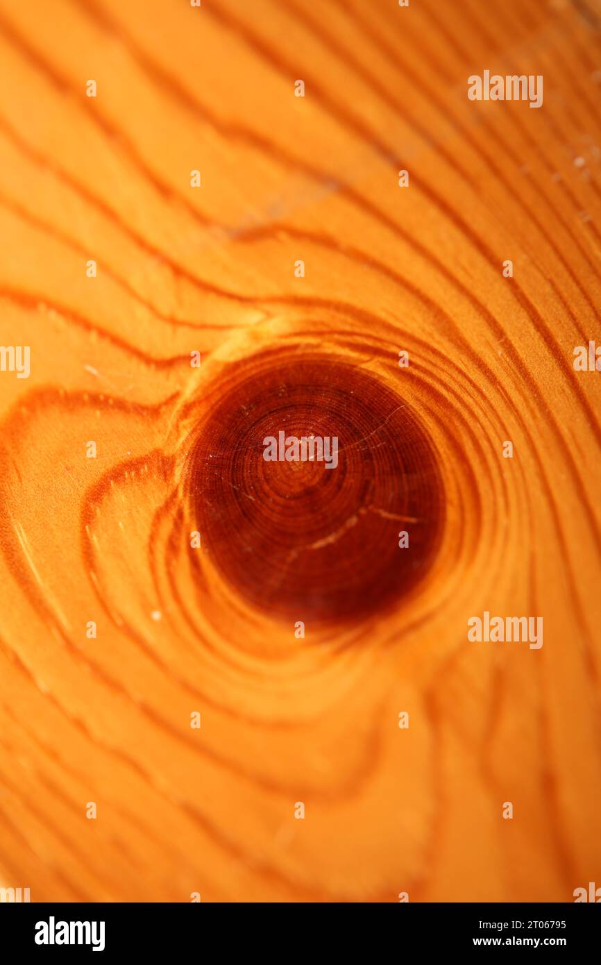 Hölzerne fehlende braune Oberfläche Makro Schließen abstrakte Texturplatte aus Kiefernholz mit einem Ast Auge Knoten Loch Hintergrund braunes gelbes Holz Stock Foto Stockfoto