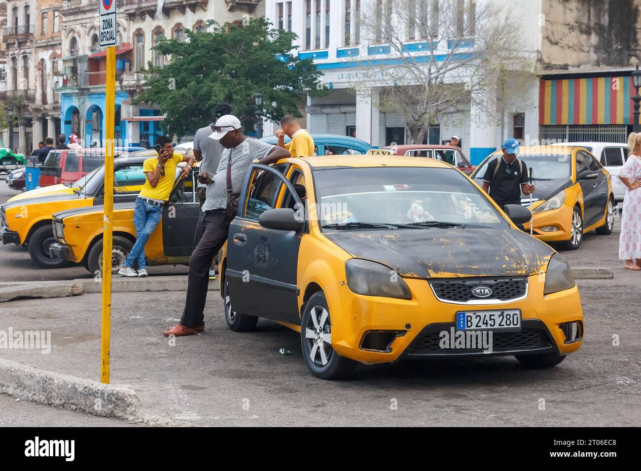 Eine Gruppe von gelben Taxis wartet auf Kunden in der Gegend von Parque Central. Ein Fahrer neigt sich zum Dach seines Fahrzeugs. Stockfoto