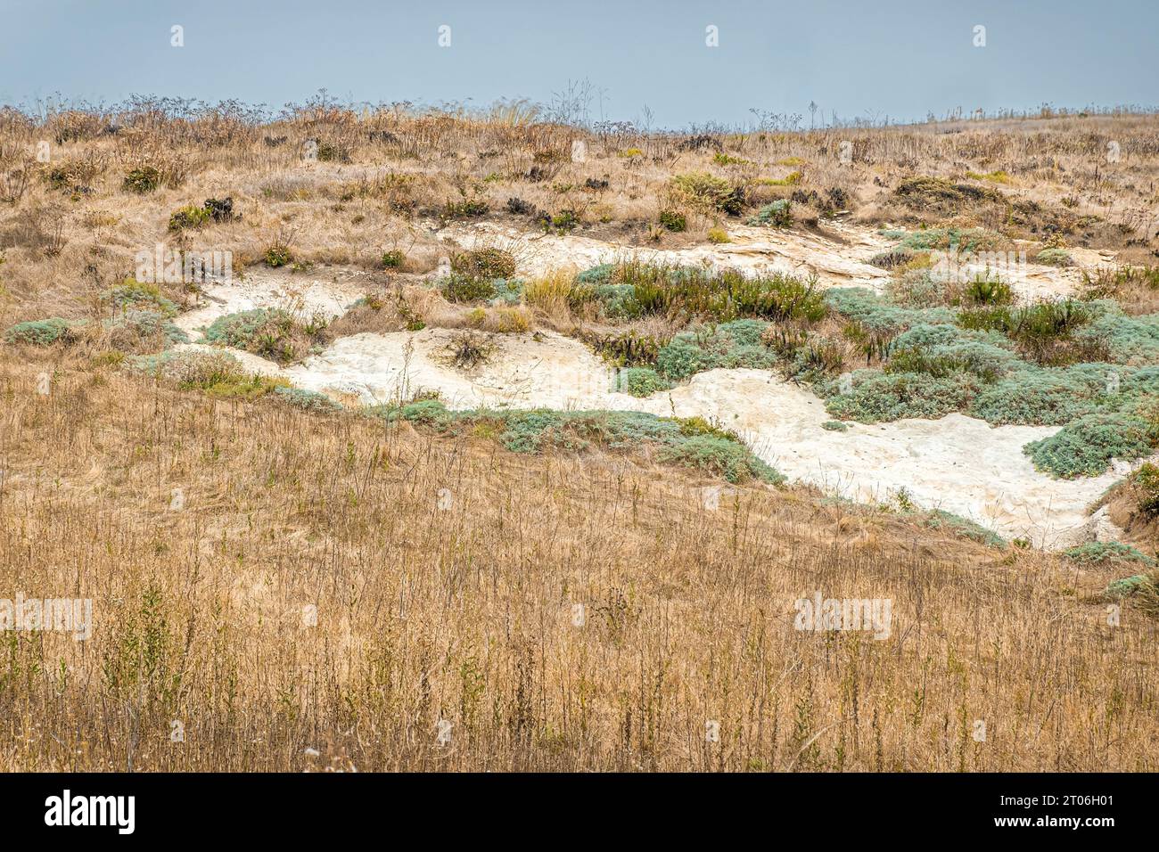 Santa Cruz Island, CA, USA - 14. September 2023: Landschaft. Weiße felsige Geologie taucht inmitten von trockenem braunem Gras und einigen grünen Flecken unter Blau auf Stockfoto