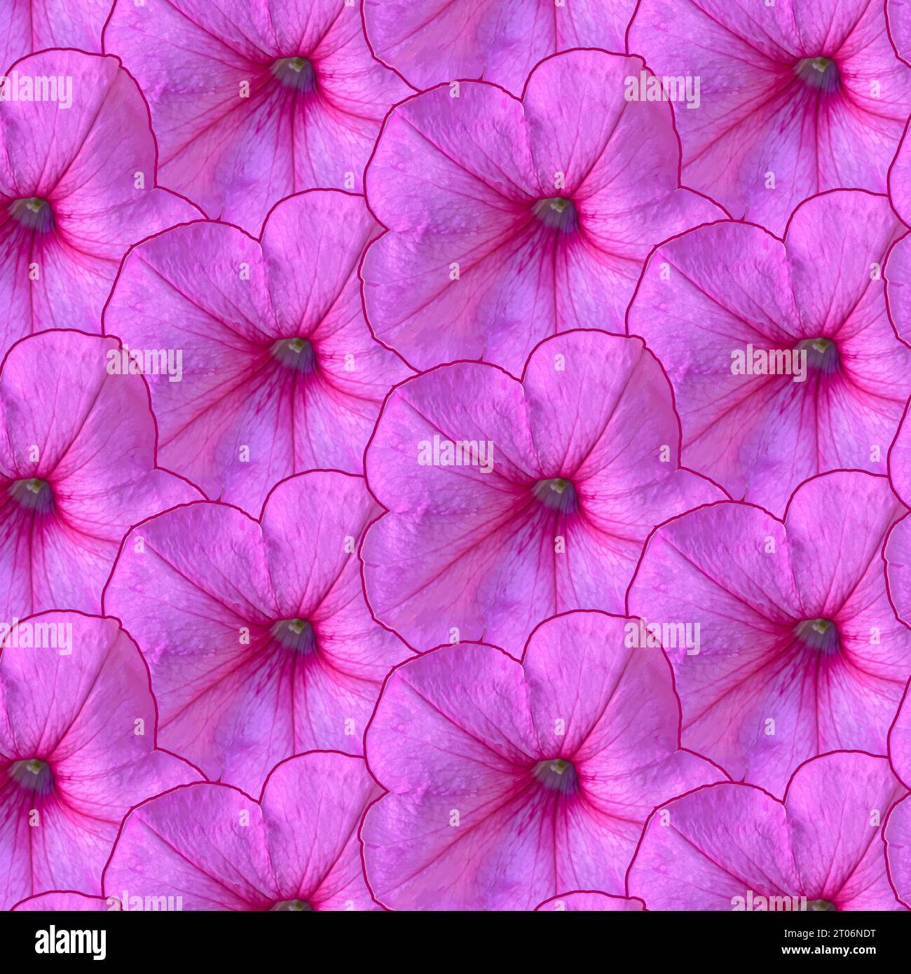 Nahtloses Muster lila Petunie Blumenkopf. Vektordarstellung der Draufsicht. Isoliert Stock Vektor