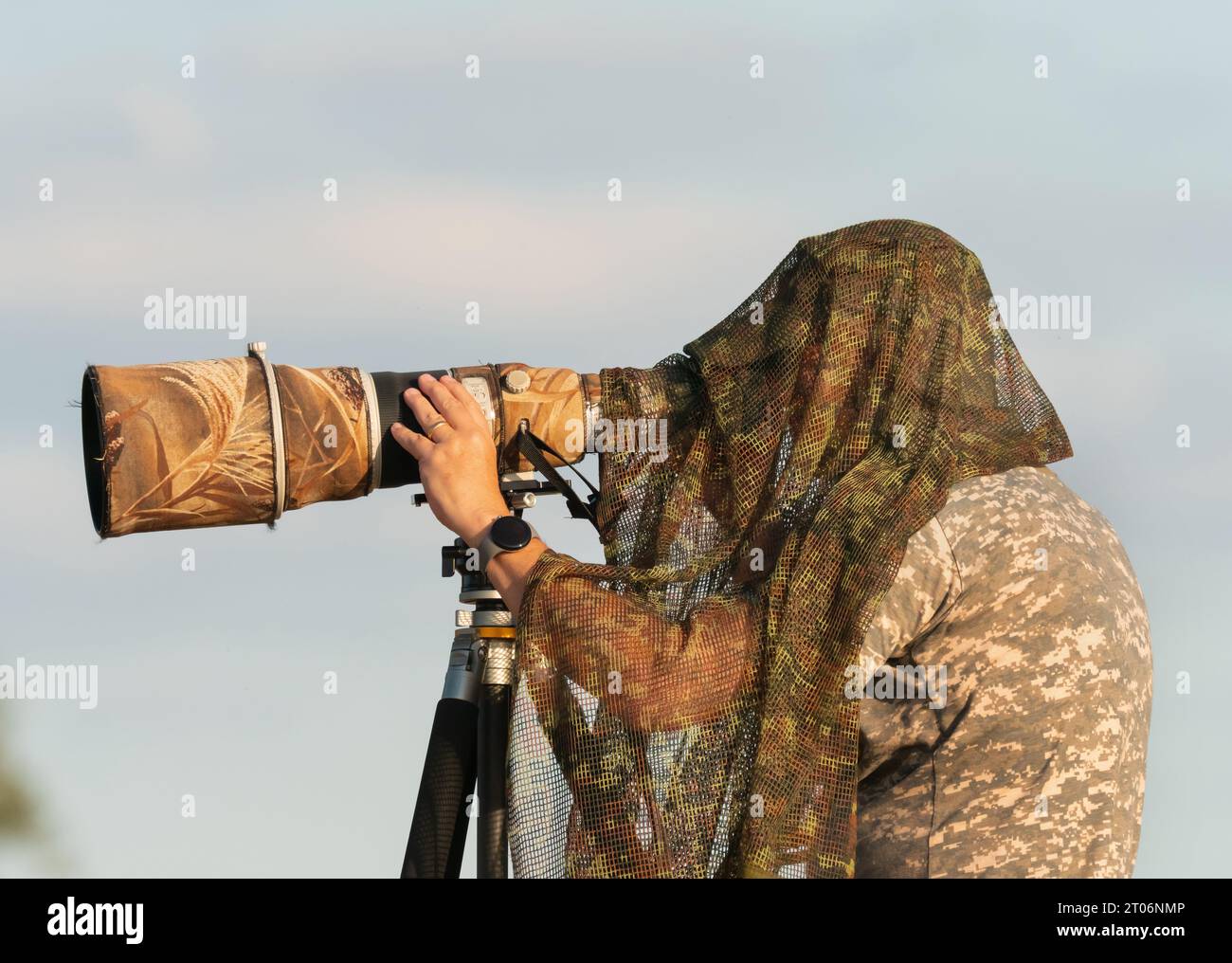 Lutherstadt Wittenberg, Deutschland. September 2023. 28.09.2023. Ein Naturfotograf steht auf einem Deich bei den Elbwiesen an der Elbe, etwa zehn Kilometer südöstlich von Lutherstadt Wittenberg, und blickt durch seine Kamera, an der ein leistungsstarkes Teleobjektiv befestigt ist. Über seinem Kopf trägt der Mann ein Tarnnetz, denn wilde Tiere und seltene Vögel erkennen Menschen besonders gut an ihrer Silhouette und ihrem Gesicht. Quelle: Wolfram Steinberg/dpa/Alamy Live News Stockfoto