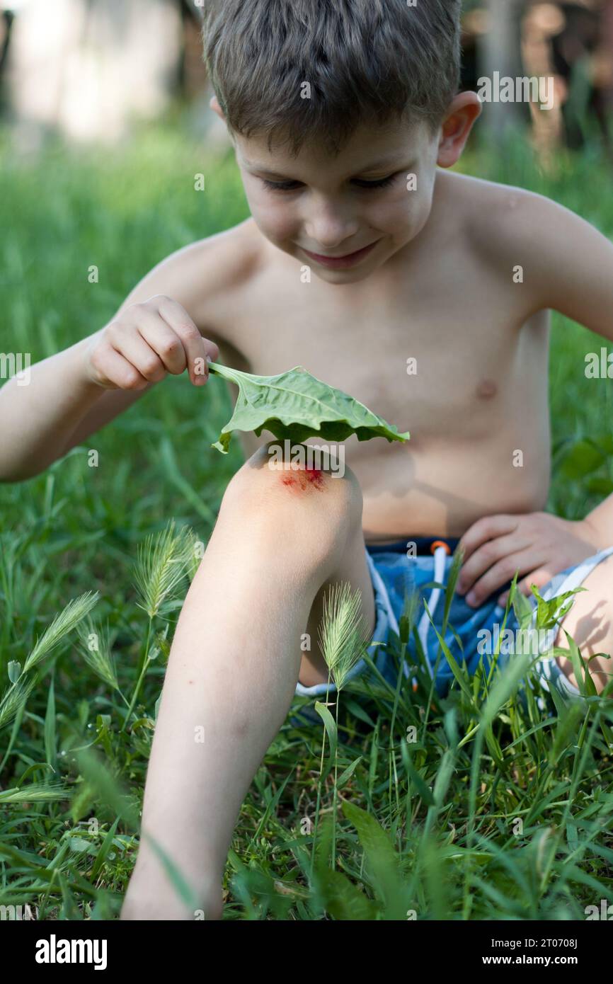 Porträt eines Vorschuljungen mit frischer Blutung am Knie. Kind fiel, zerkratzte Haut am Knie, Bananenblatt auf die Wunde aufgetragen. Kinderverletzungen bei Stockfoto