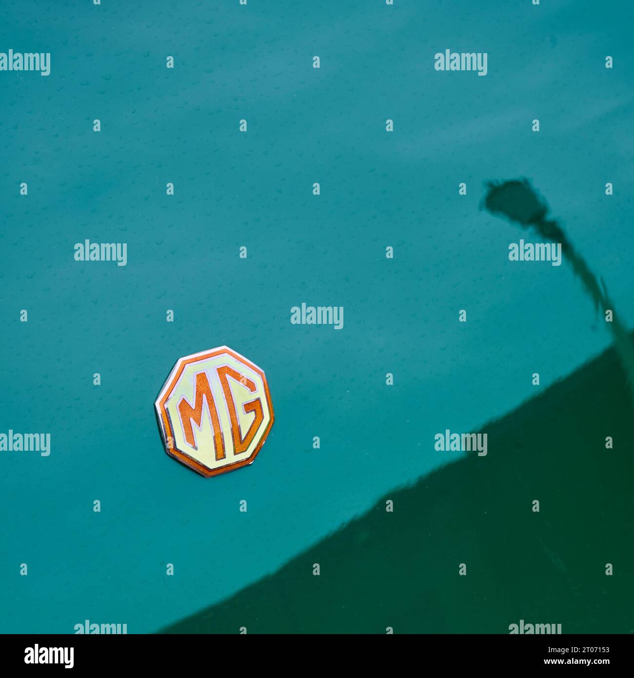 Das MG-Logo auf der Motorhaube eines Autos in Renngrün lackiert Stockfoto