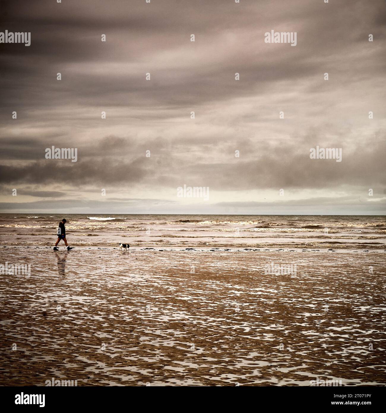 Ein Mann, der einen Hund entlang leerem Strand an bewölktem Tag führt Stockfoto