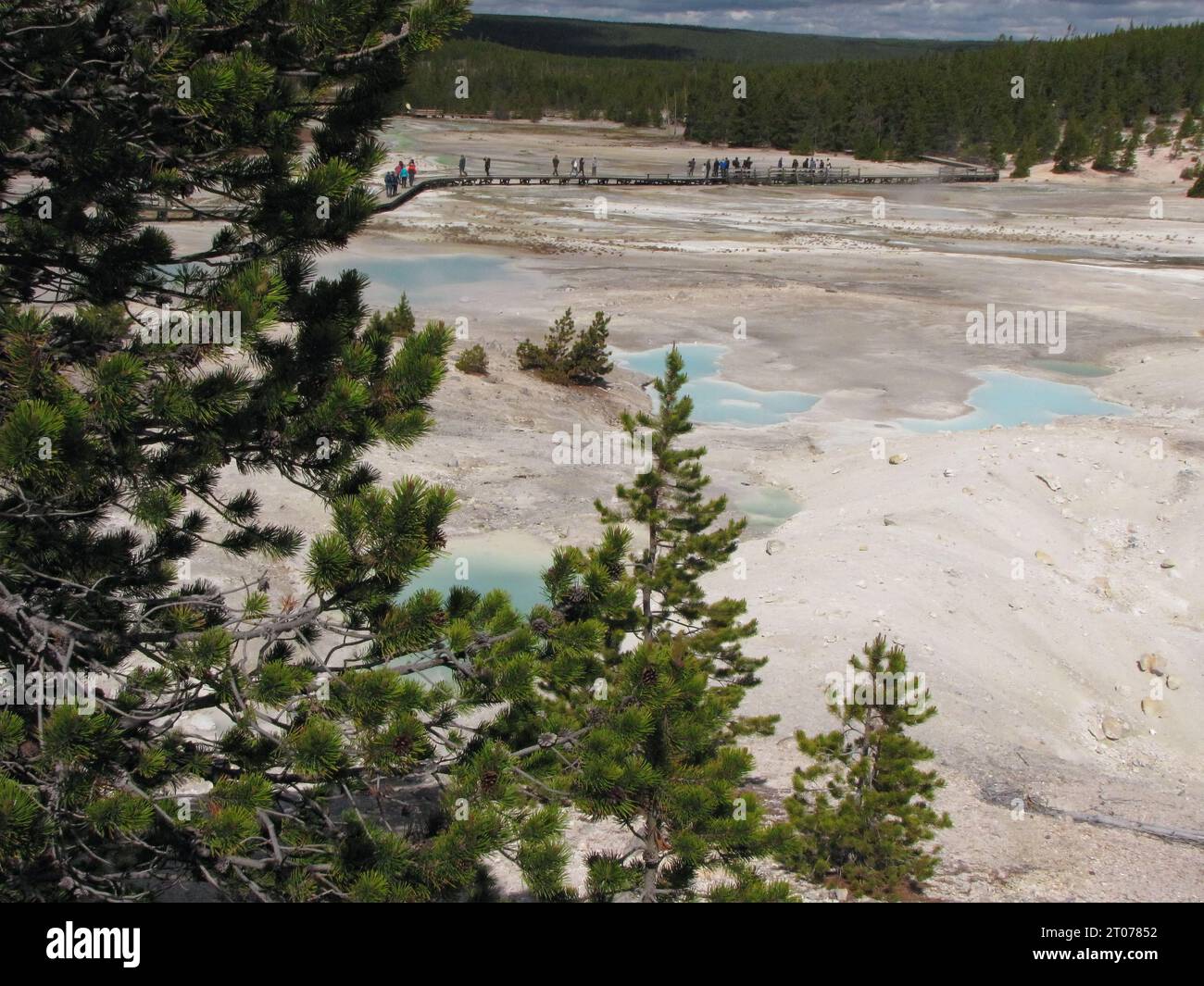 Herrlicher Blick auf das große Geysirbecken im Yellowstone-Nationalpark. Lange Stege für Sicherheit, Dampfaufgang und die türkisfarbene Farbe des kochenden Wassers. Stockfoto