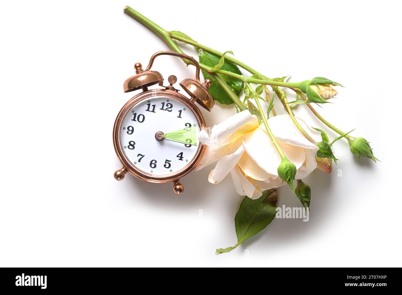 Vintage-Wecker und eine helle Rose, die die Stunde zwischen Sommerzeit und Winterzeit oder Normalzeit anzeigt, liegen flach auf einem Stockfoto