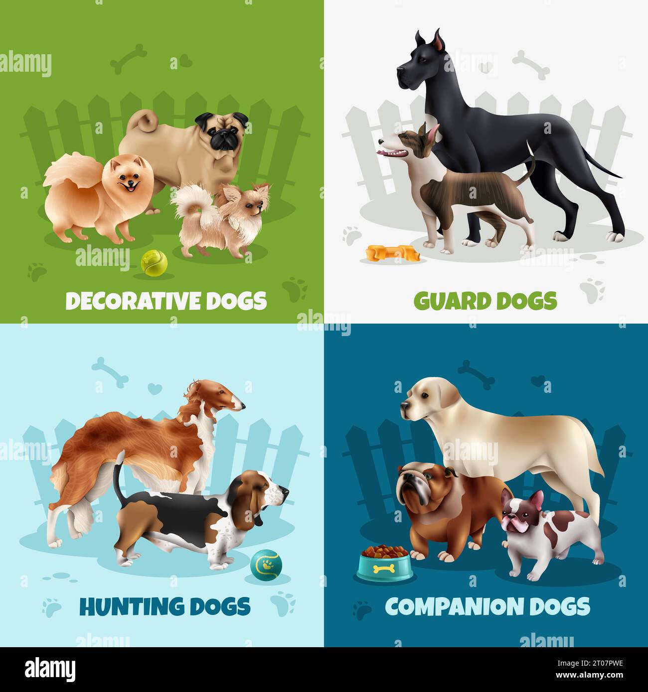 Vier Quadrate Hunderassen Design Icon-Set mit dekorativen Schutz Jagd Begleiter Hunde Beschreibungen Vektor-Illustration Stock Vektor