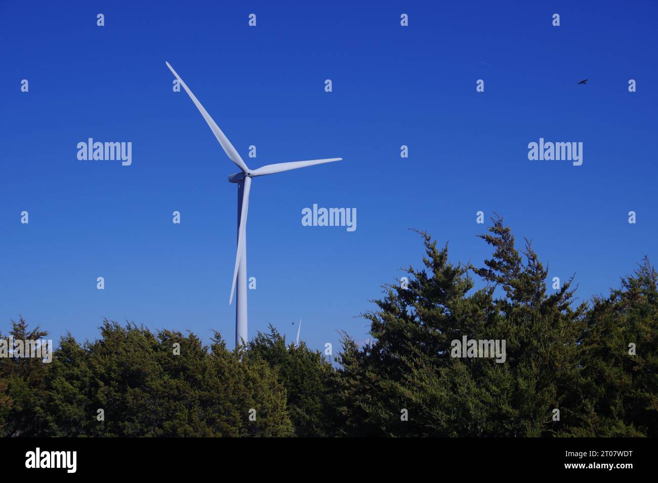 Windkraftanlage in Goldthwaite, Texas Stockfoto