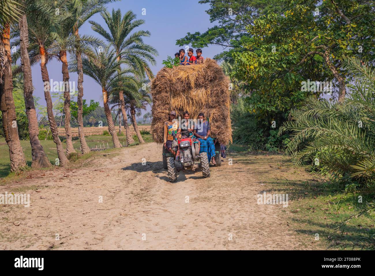 Bauern tragen Reisscheiben auf dem Traktor in Jashore, Bangladesch. Stockfoto