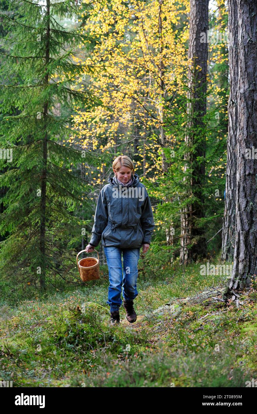 Eine junge Frau, die in einem Wald nach Pilzen sucht Stockfoto