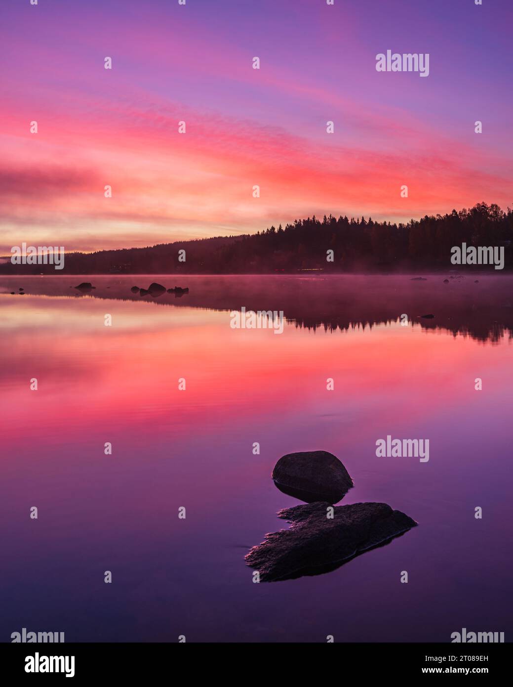 Ruhiger Sonnenaufgang über einem ruhigen schwedischen See mit rosa Himmel. Stockfoto