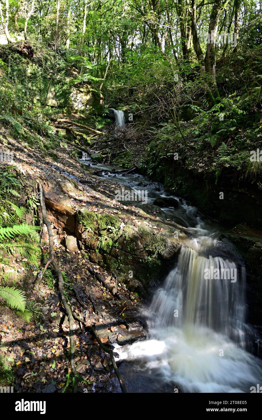 Rund um Großbritannien - Blick auf Fairy Glen, Appley Bridge, West Lancashire, UK. Ein biologisches Kulturerbe Stockfoto