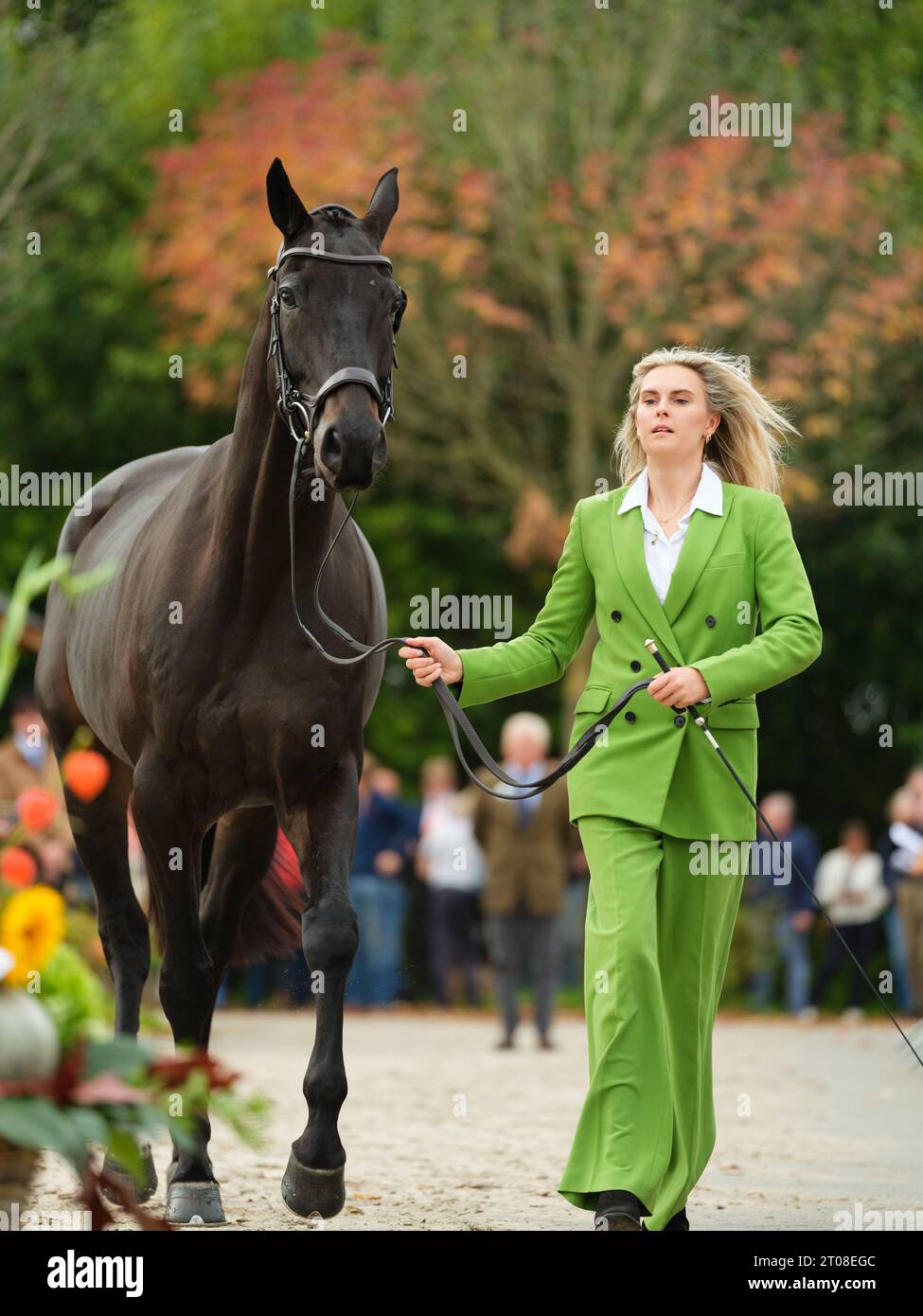 Storm STRAKER of Great Britain with Fever Pitch während der ersten Pferdeinspektion bei den Boekelo Horse Trials CCIO 4*-NC-L am 4. Oktober 2023, Niederlande (Foto: Maxime David/MXIMD Pictures - mximd.com) Stockfoto