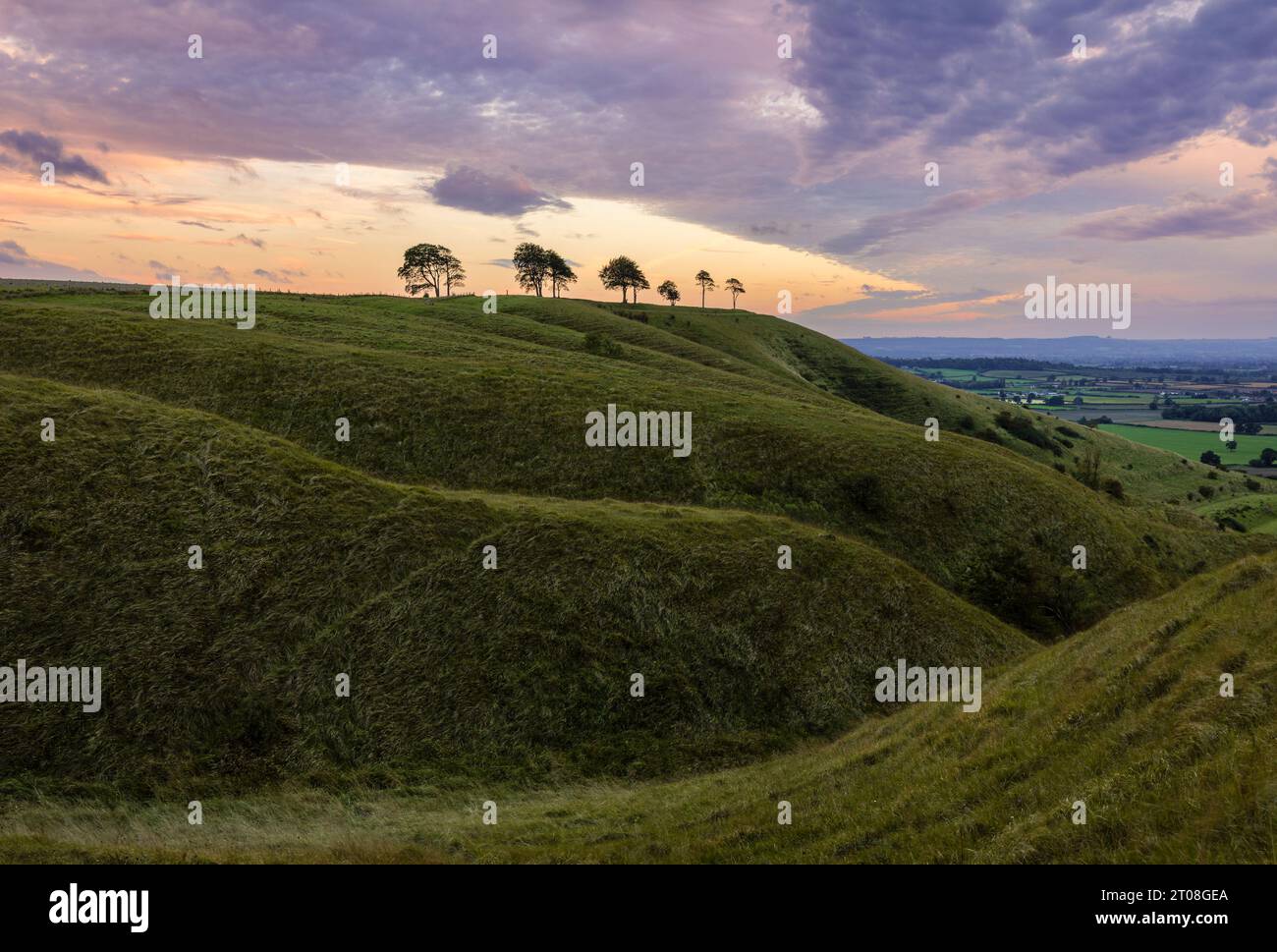 Blick auf den Roundway hinunter Hügel und Steilhang am Rande des nördlichen Wessex Downs Devizes Wiltshire im Südwesten Englands Großbritannien Stockfoto