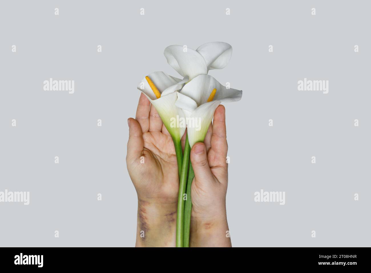 Bekämpfung häuslicher Gewalt und Missbrauch gegen Frauen, Konzept sozialer Probleme. Stockfoto