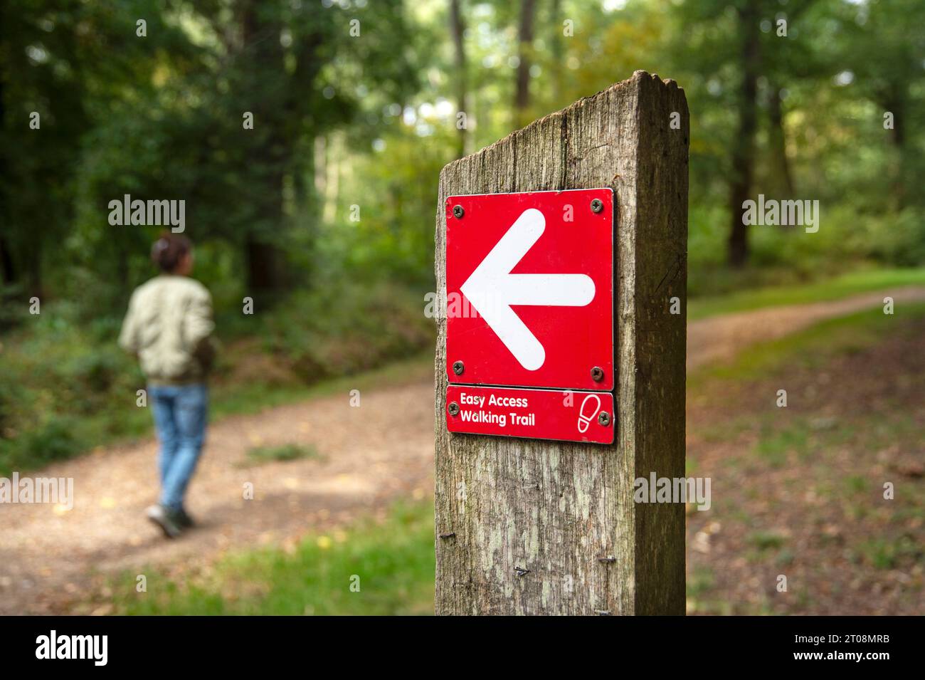 Easy Access Walking Trail Schild auf einem Holzpfosten, Walking Concept. Stockfoto