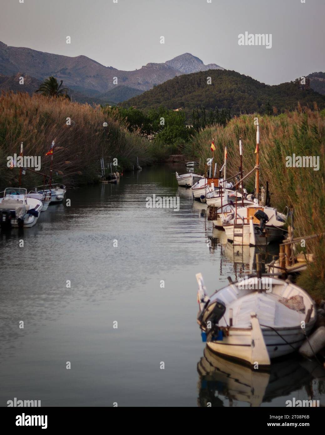 Boote, die in einem Kanal geparkt sind Stockfoto