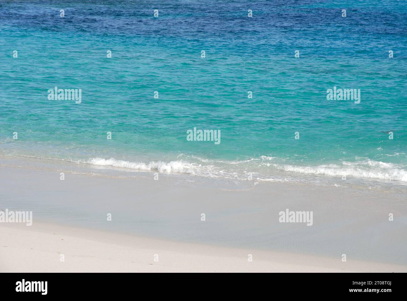 Wunderschöner, reiner weißer Sand und türkisfarbenes Meer, typisch für den Cape Le Grand National Park, in der Nähe von Esperance, Western Australia, Australien Stockfoto