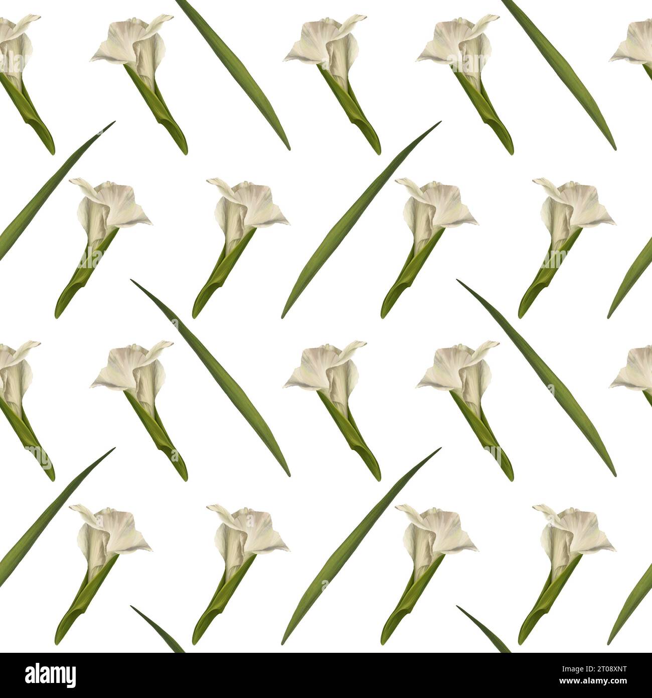 Aquarell Gladiolen Pflanzen nahtloses Muster, handgezeichnete digitale Blumen-Illustration von Blumen und Blättern. Isoliert auf weißem Hintergrund.Repeating Stockfoto