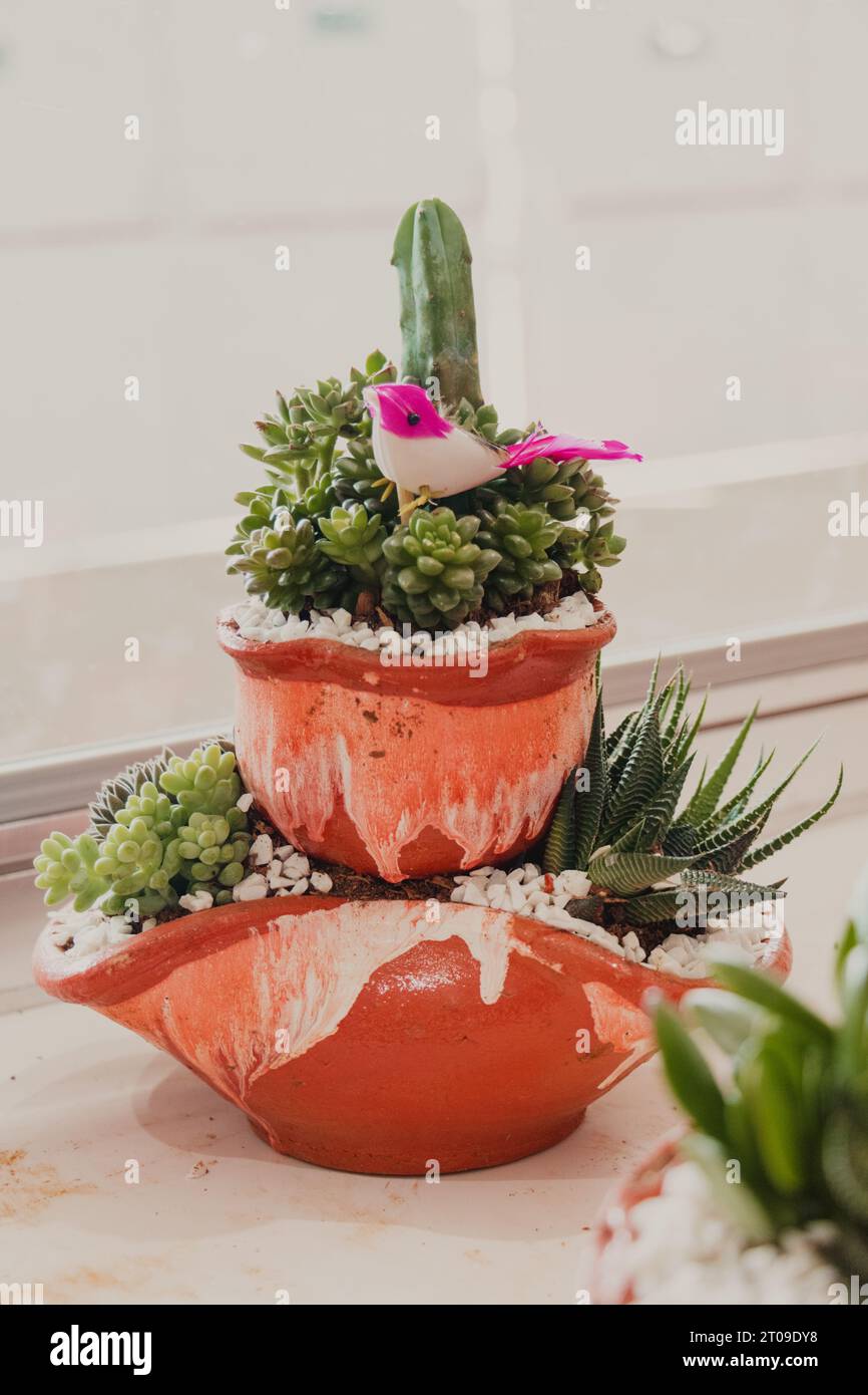 Zarte, zweistöckige Sukkulenten Vase Stockfoto