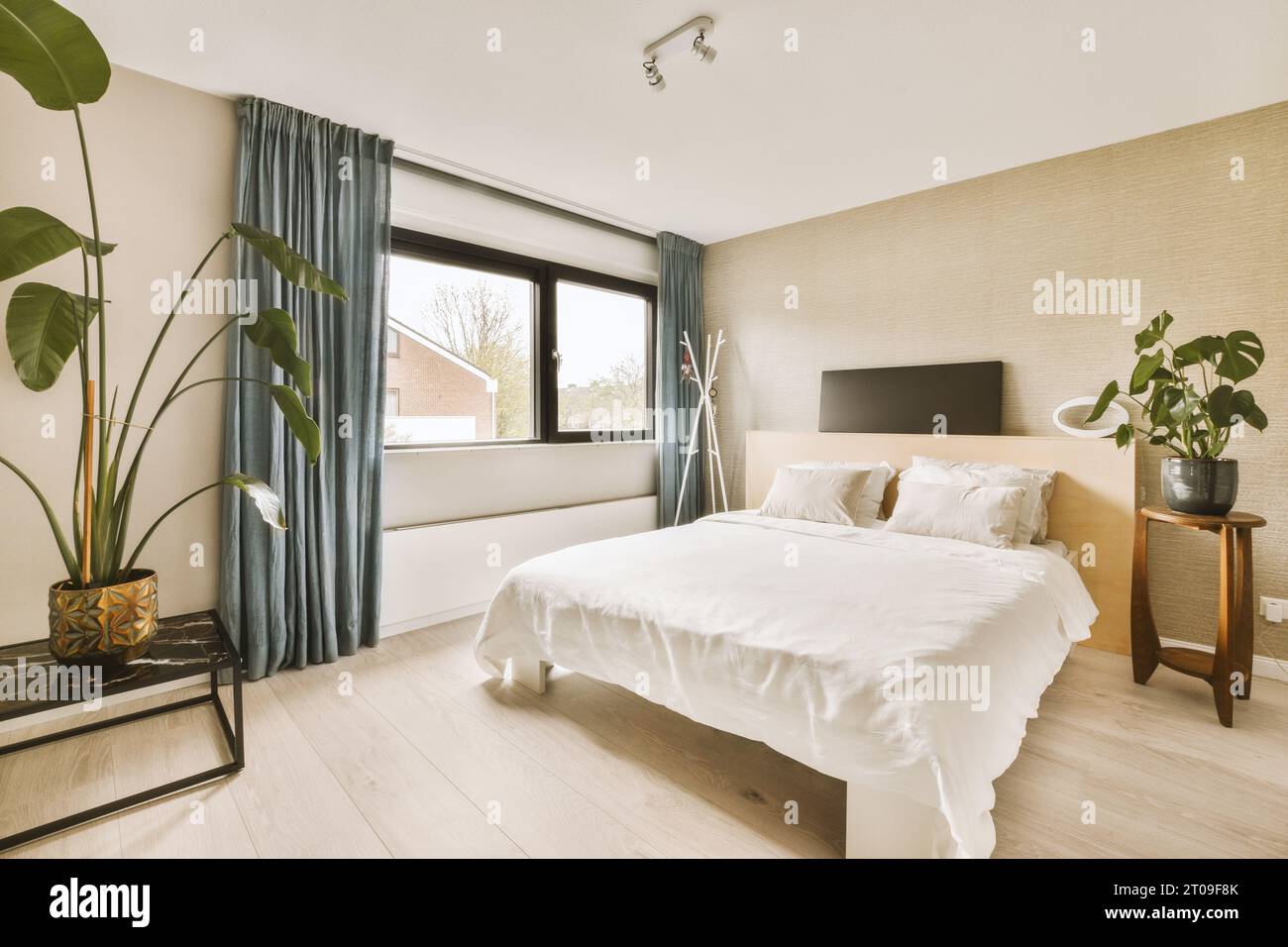 Weißes Bett mit Schlafzimmer mit frischen Topfpflanzen vor der Wand durch großes Fenster in einem modernen Haus Stockfoto