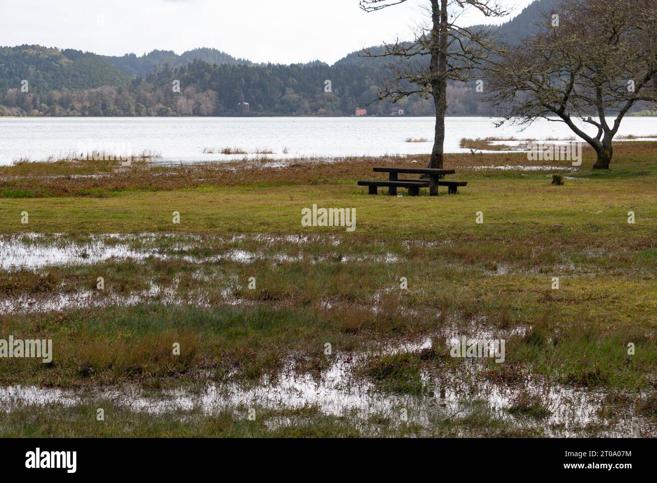 Holzpicknicktische am Seeufer mit Gras und Bäumen auf den Azoren, Portugal Stockfoto
